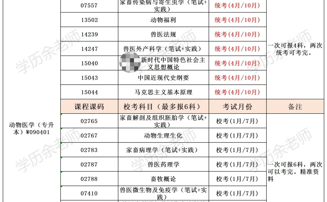 一年考完拿证，开启人生“兽医”新篇章！