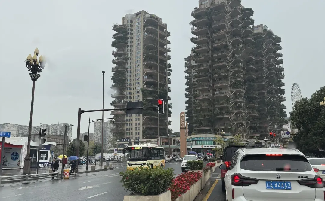 新都来个合伙人伙伴