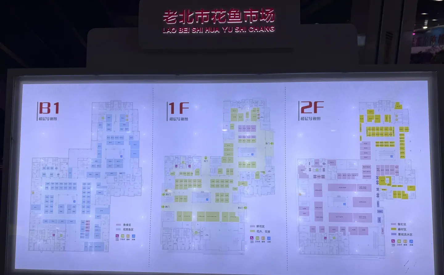 沈阳遛娃|堪比海洋馆的花鸟鱼市场