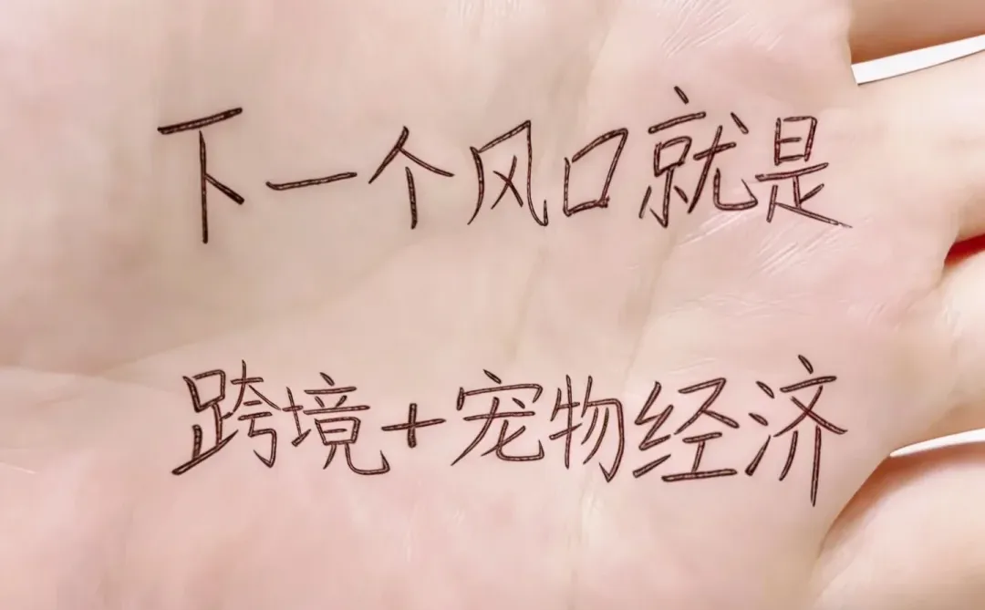 下一个风口就是:跨境➕宠物经济