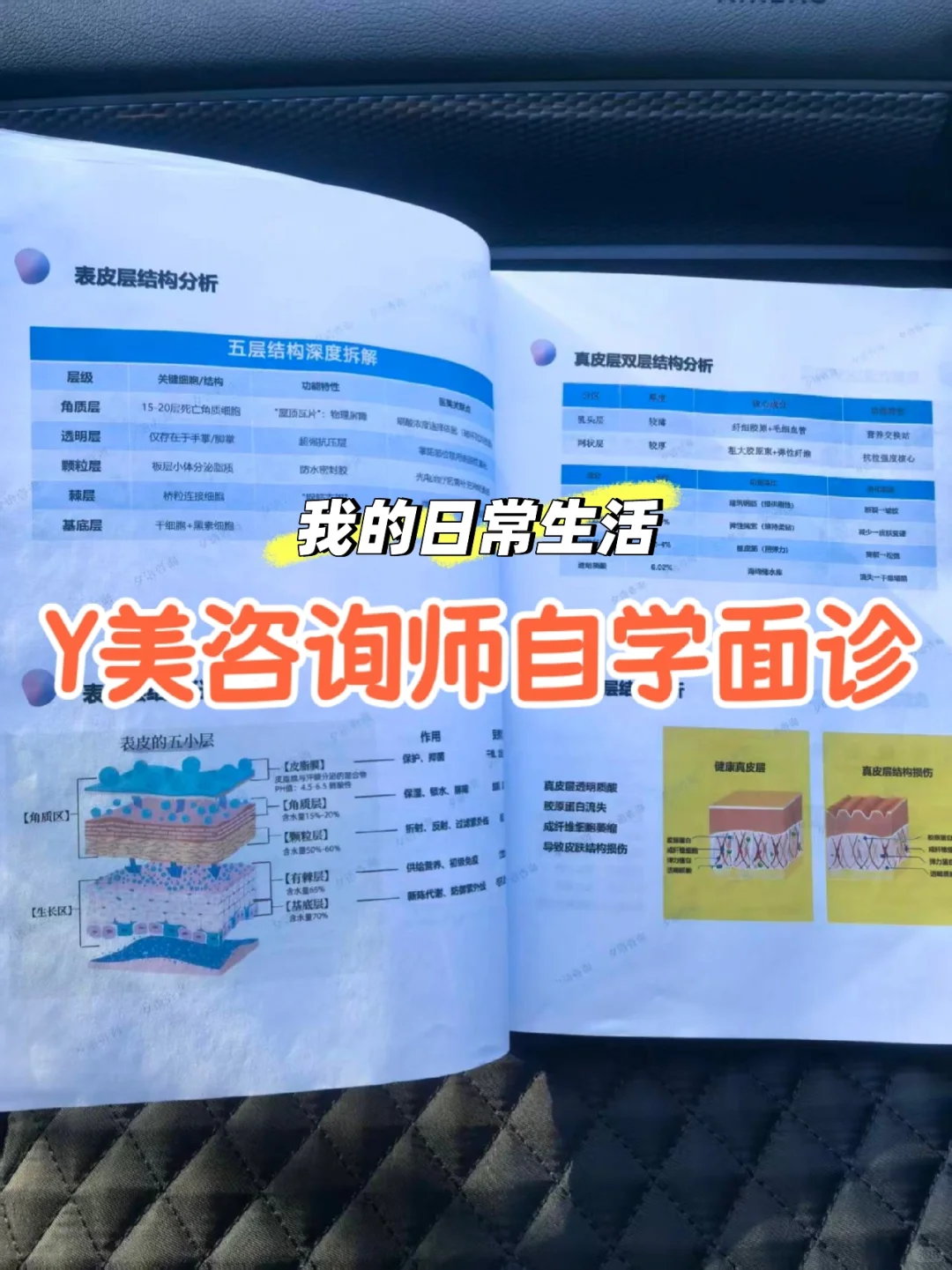 美业咨询师面诊必备知识书册