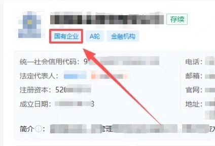 企业背书