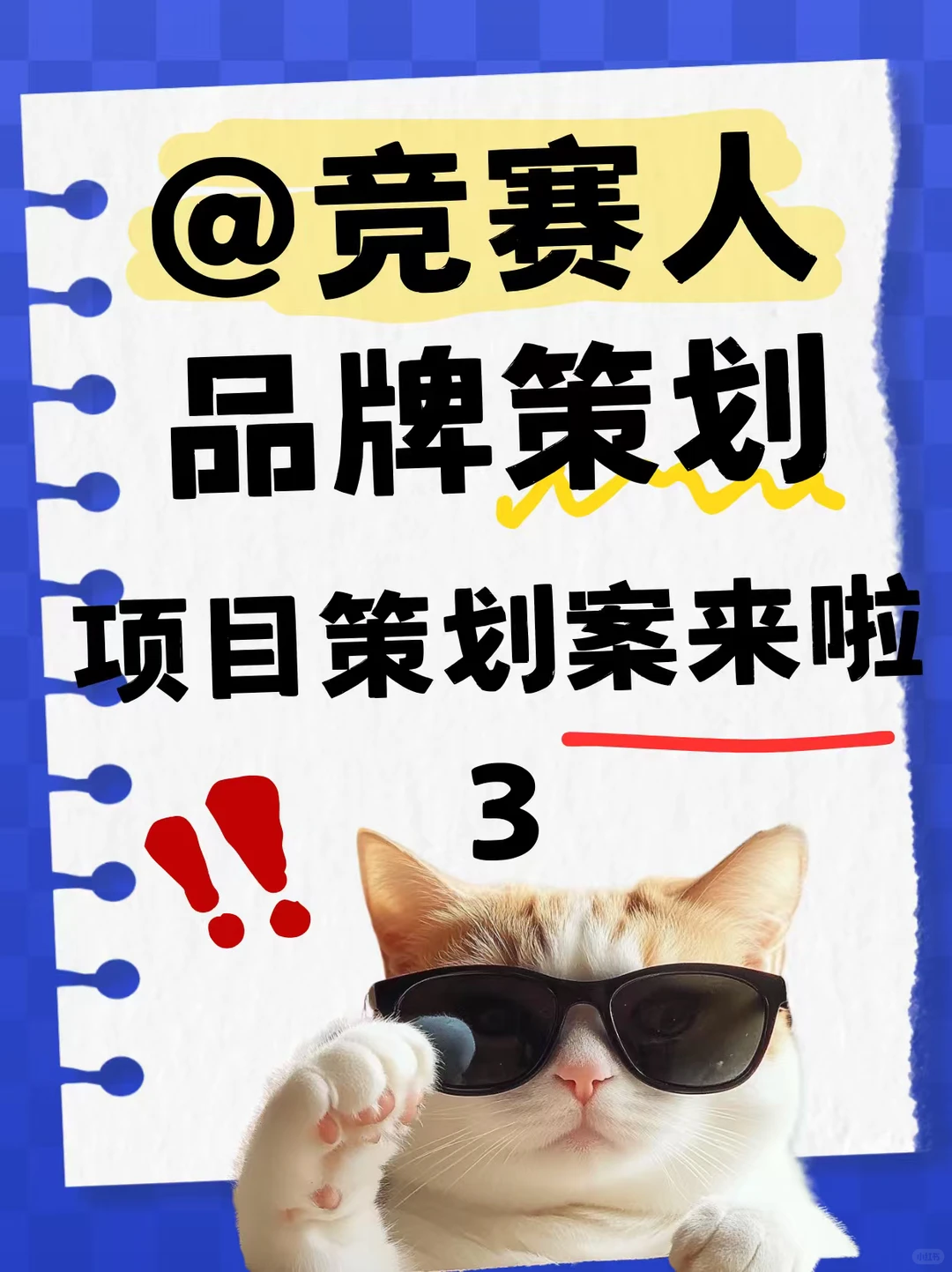 商挑品牌策划项目分享