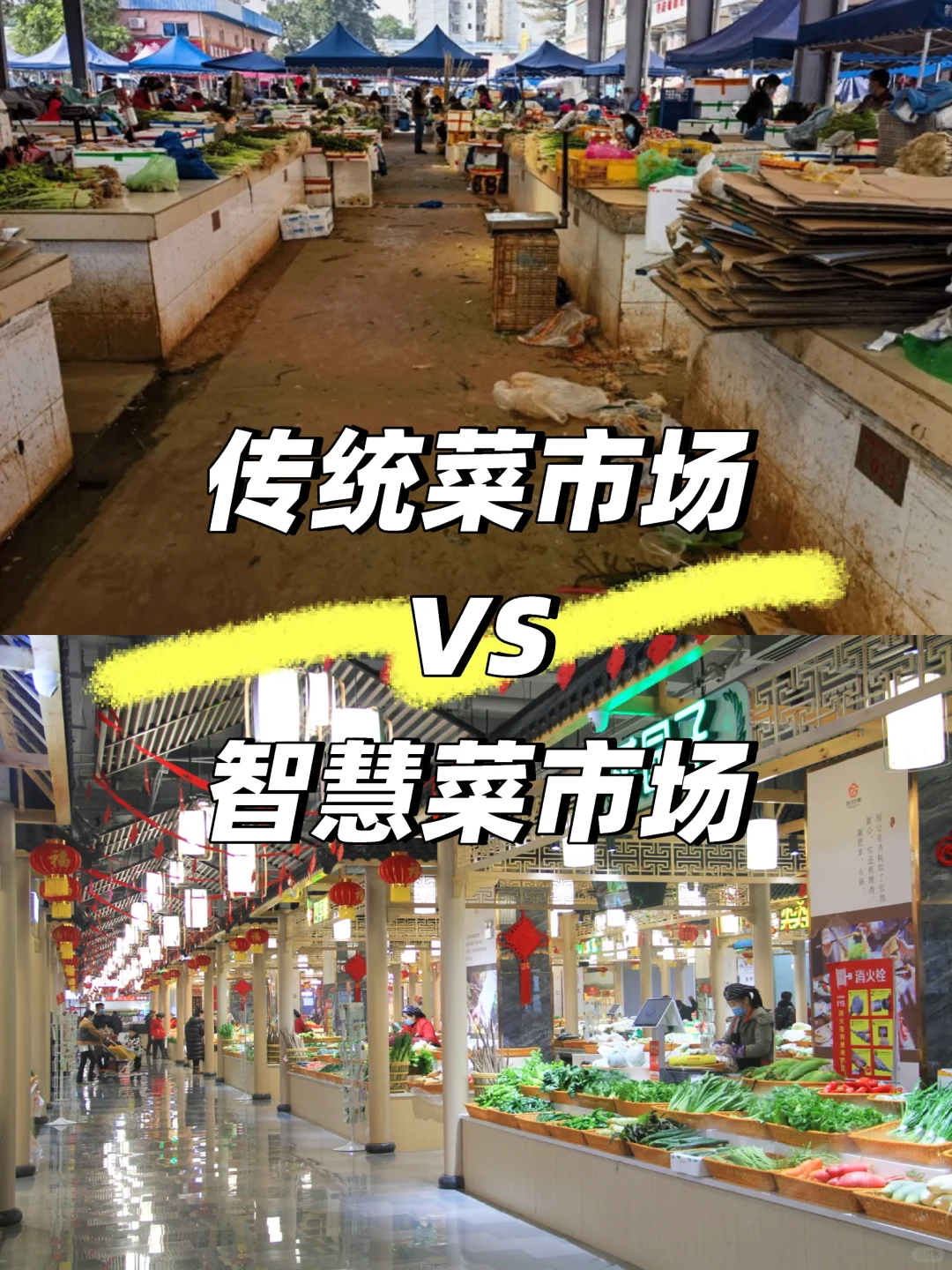 谁懂啊!以前逛菜市场像“开盲盒”㊙️