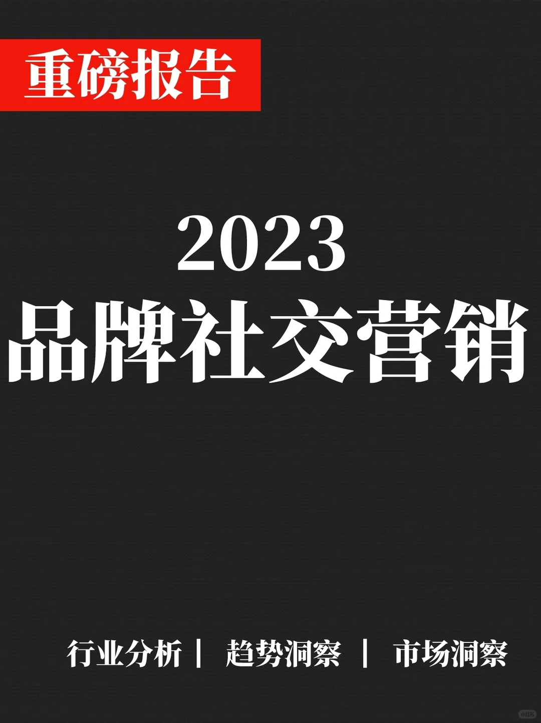一文读懂多2023品牌社交营销洞察研究
