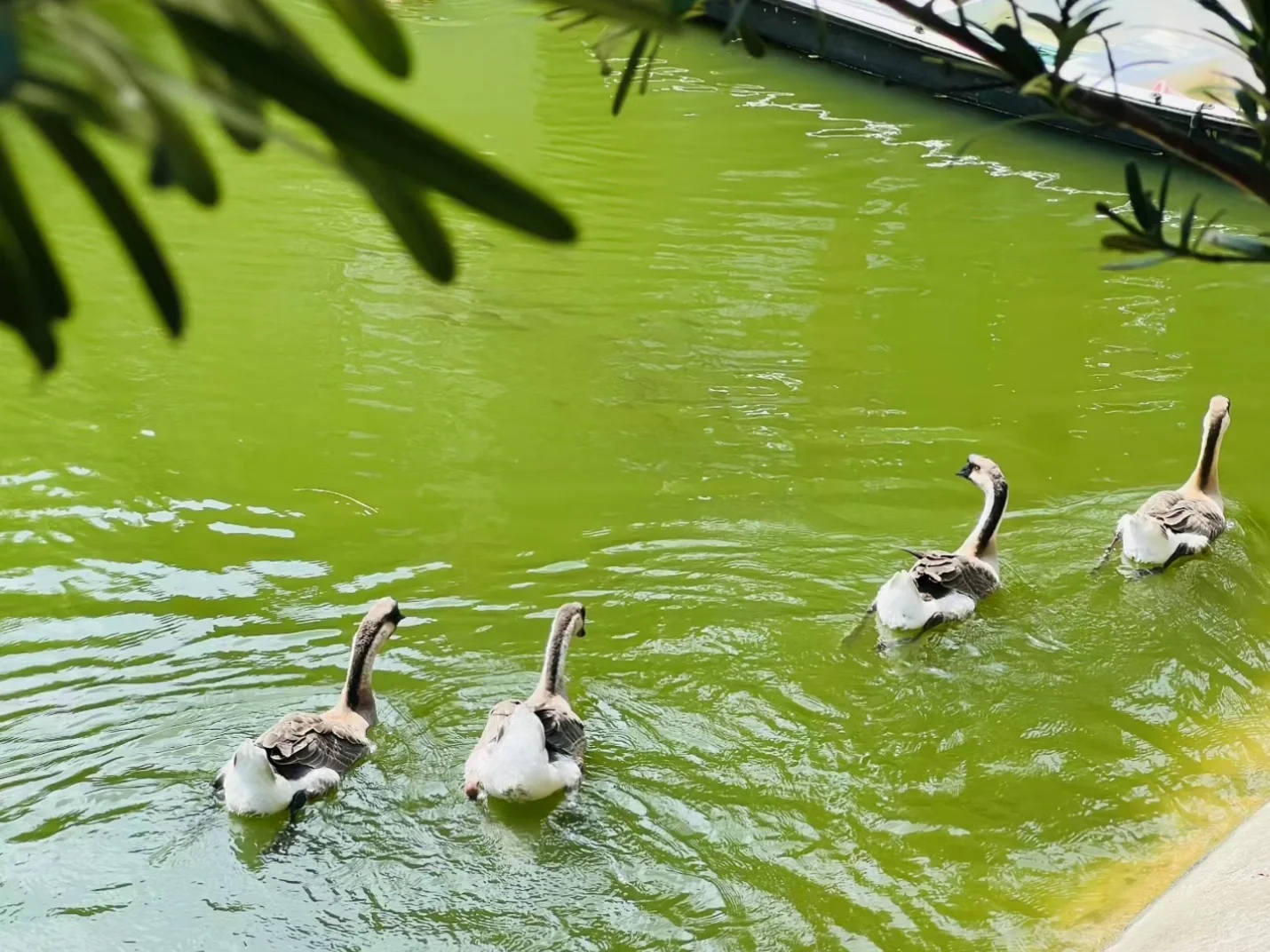 经济不好,反而越来越好赚钱的5个赛道