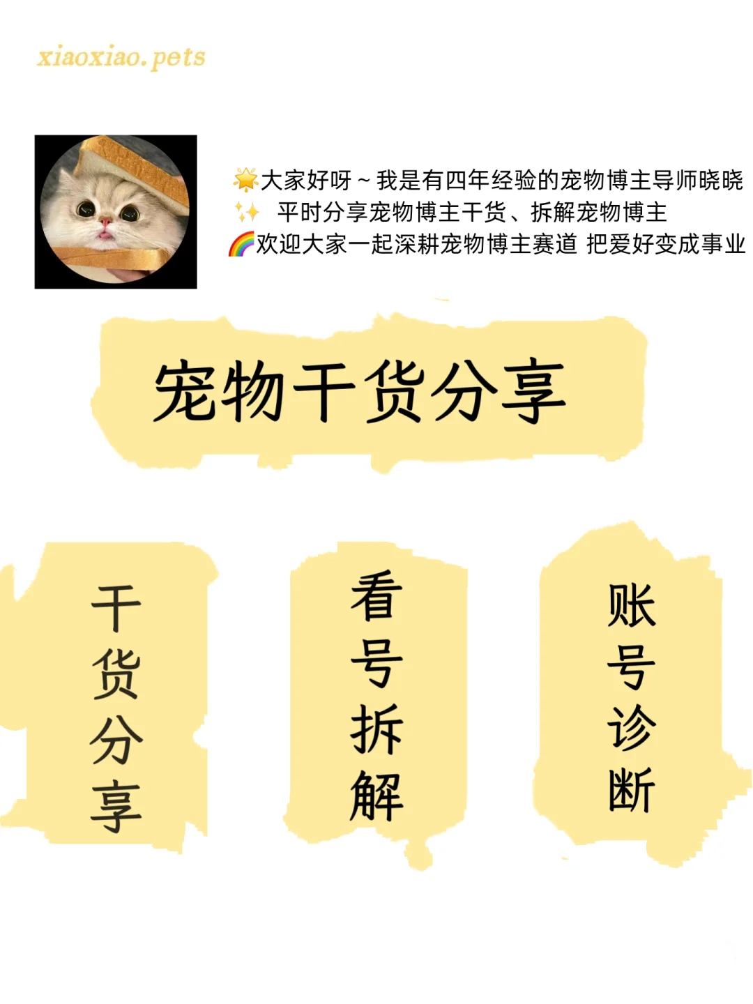 下一个风口，宠物＋碎片化