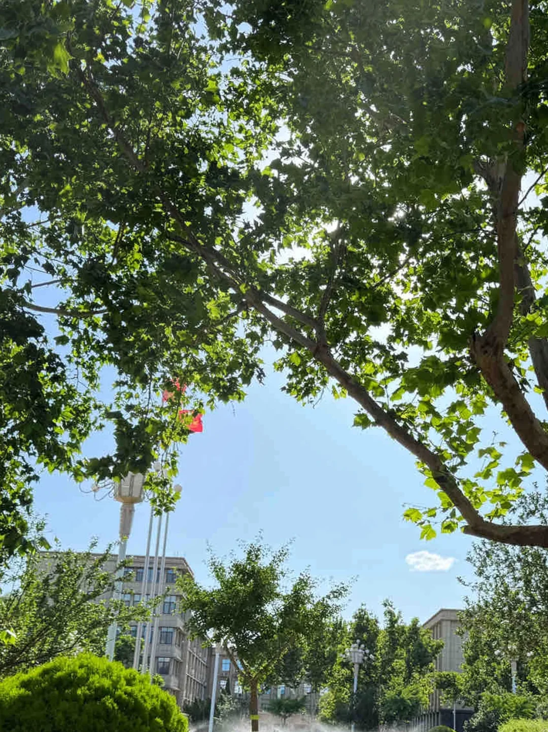 真心建议：山东在职人员去水德州学院的研…