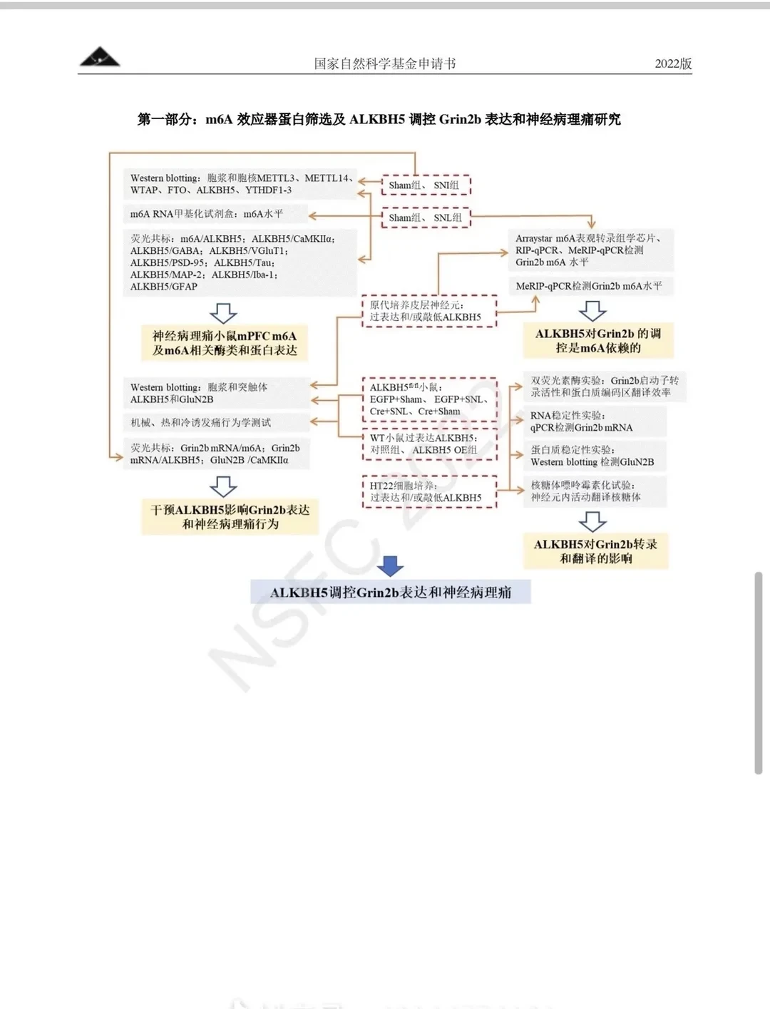 这个国自然已中标写的太好了