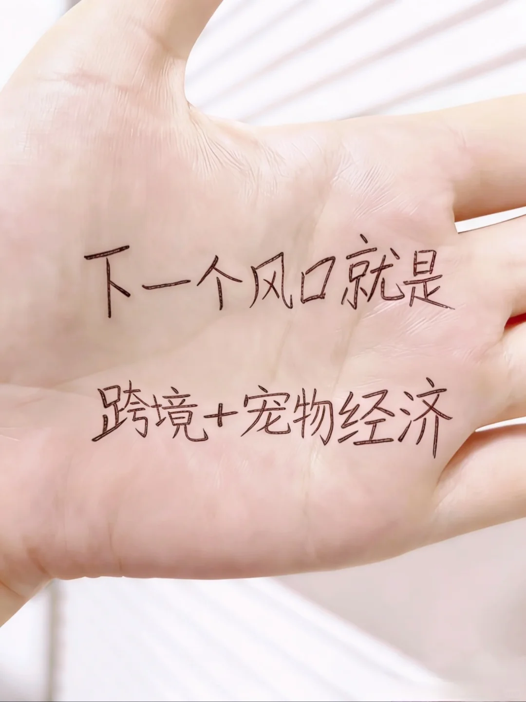 下一个风口就是:跨境➕宠物经济