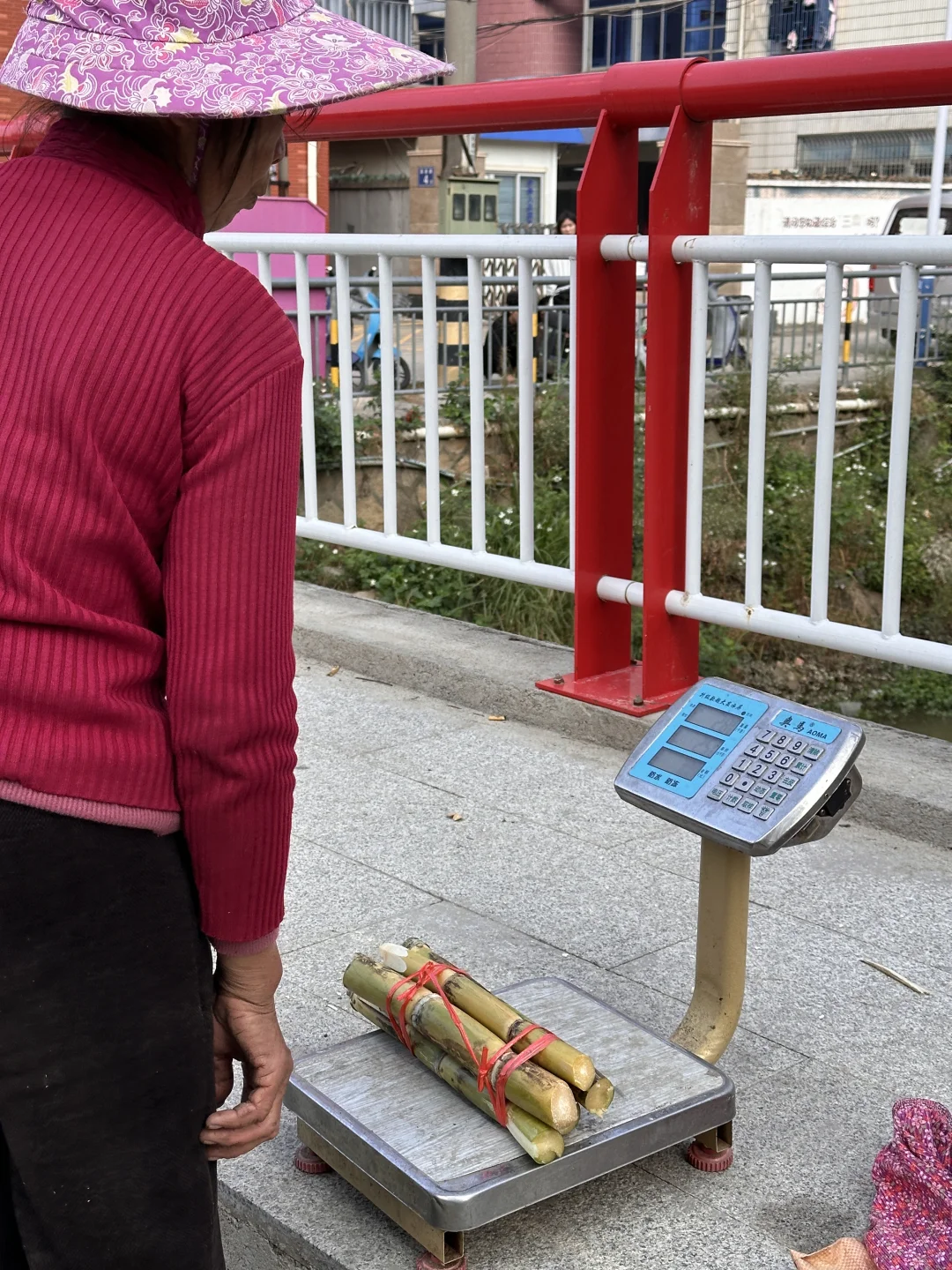 厦门幼师周末怎么过?当然是逛菜市场啊~