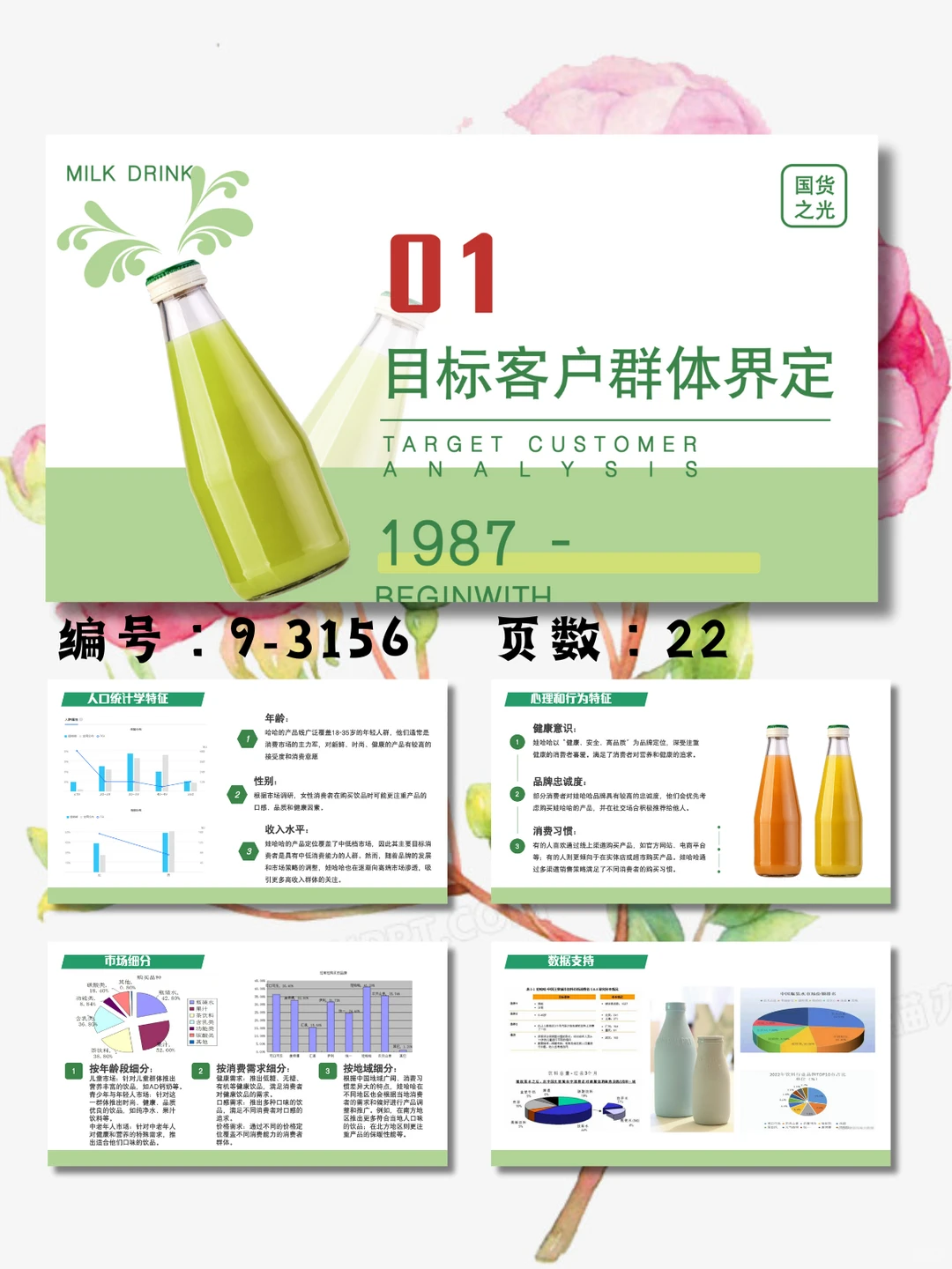 娃哈哈目标客户分析品牌分析介绍PPT模板