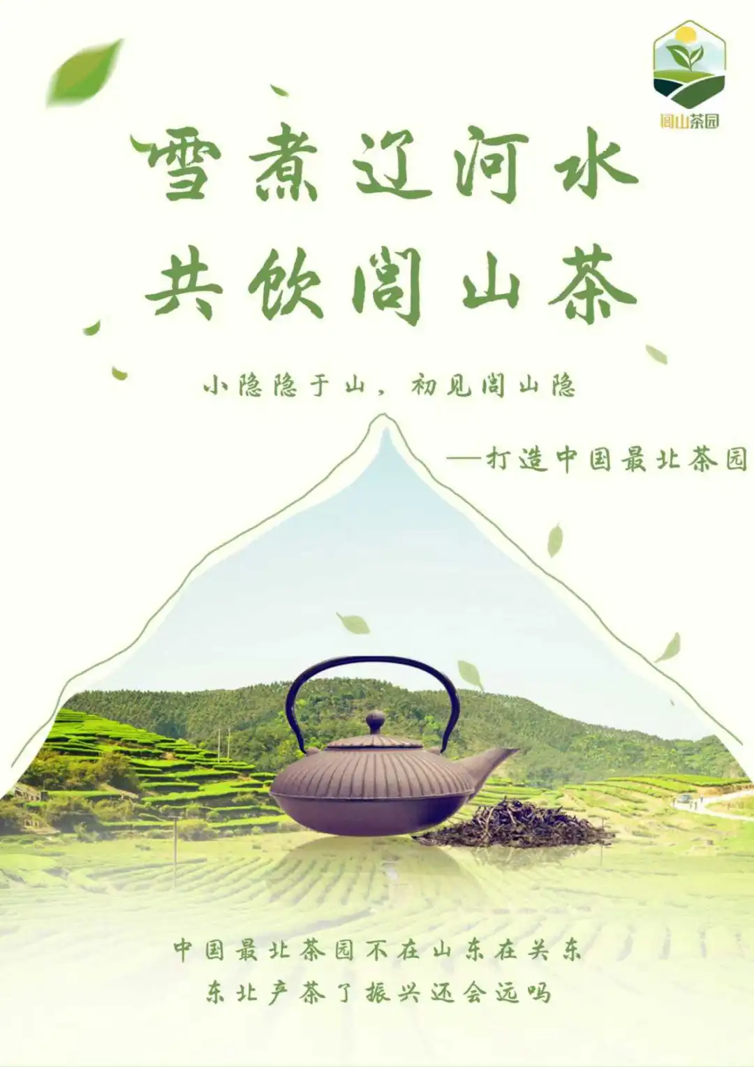 商挑品牌策划项目分享
