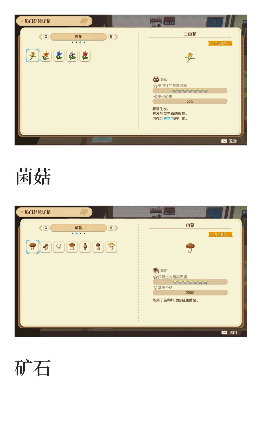 风之集市全部热门趋势物品图鉴汇总
