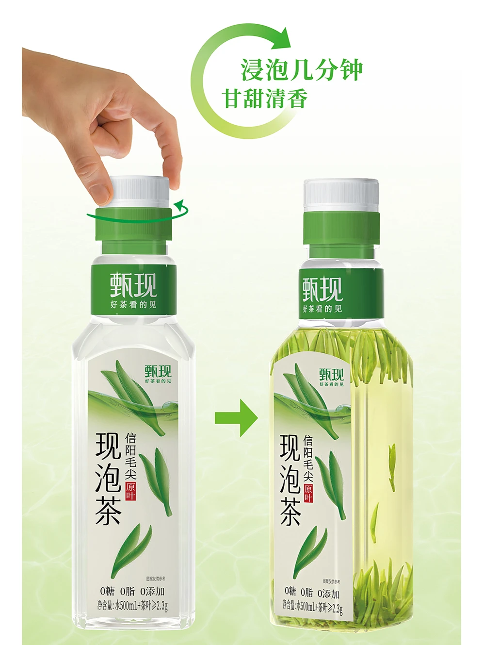 甄现:冷水现泡茶,看见茶叶的灵动之美