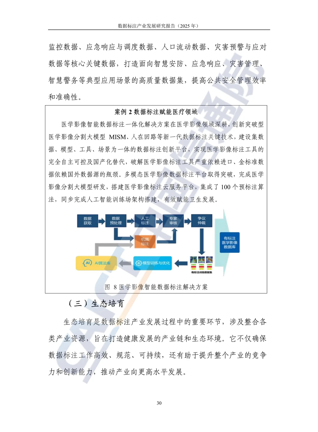 ?深度解读2025数据标注产业发展研究报告