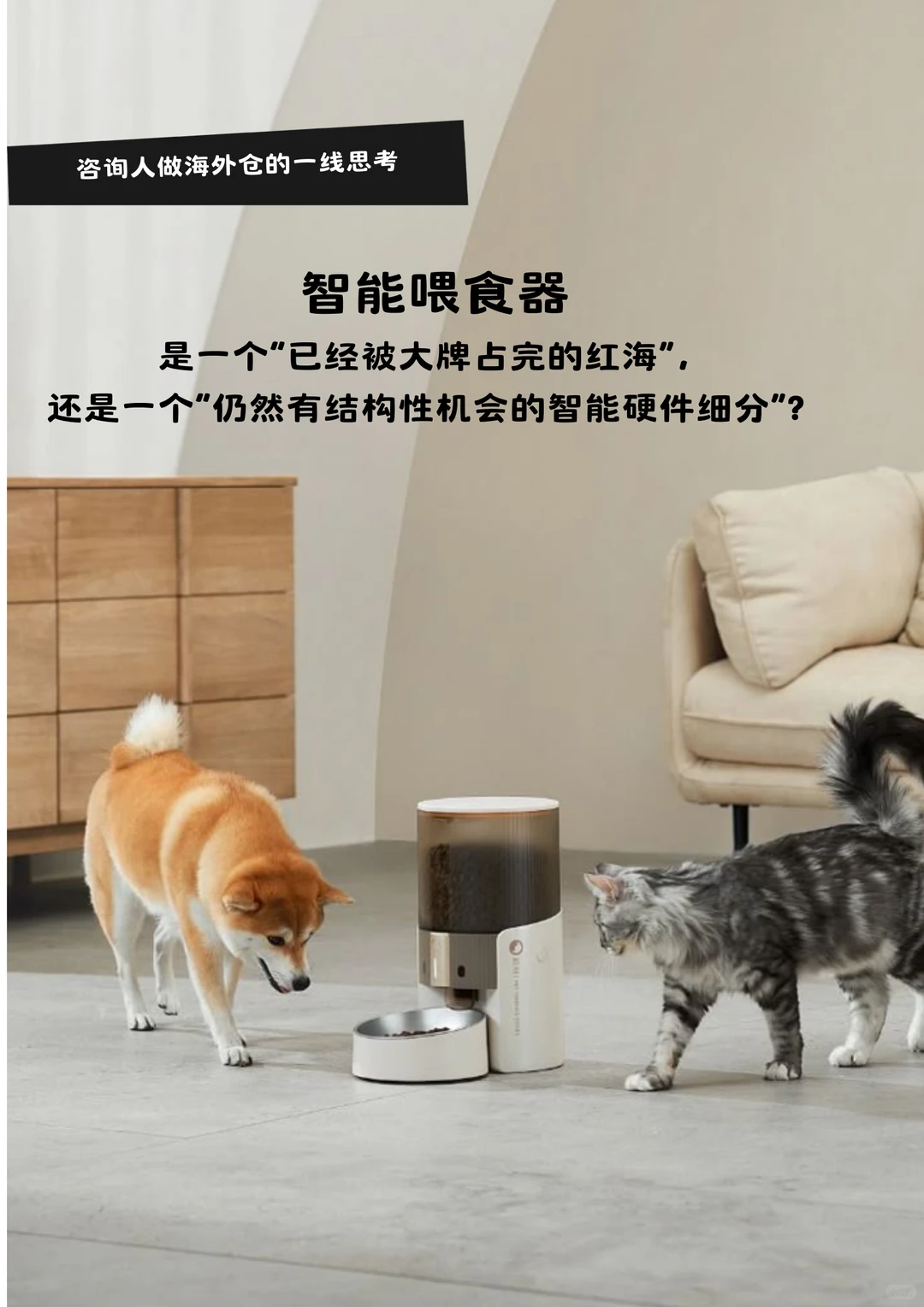 宠物智能喂食器,是被占完的红海,还是蓝海?