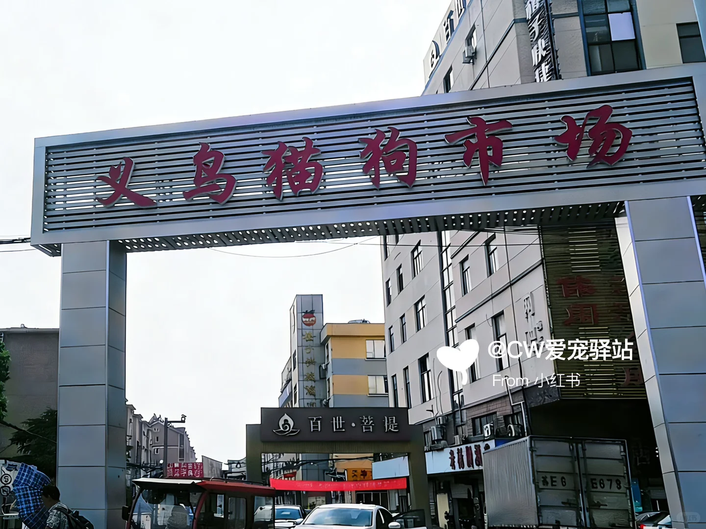 义乌猫狗市场