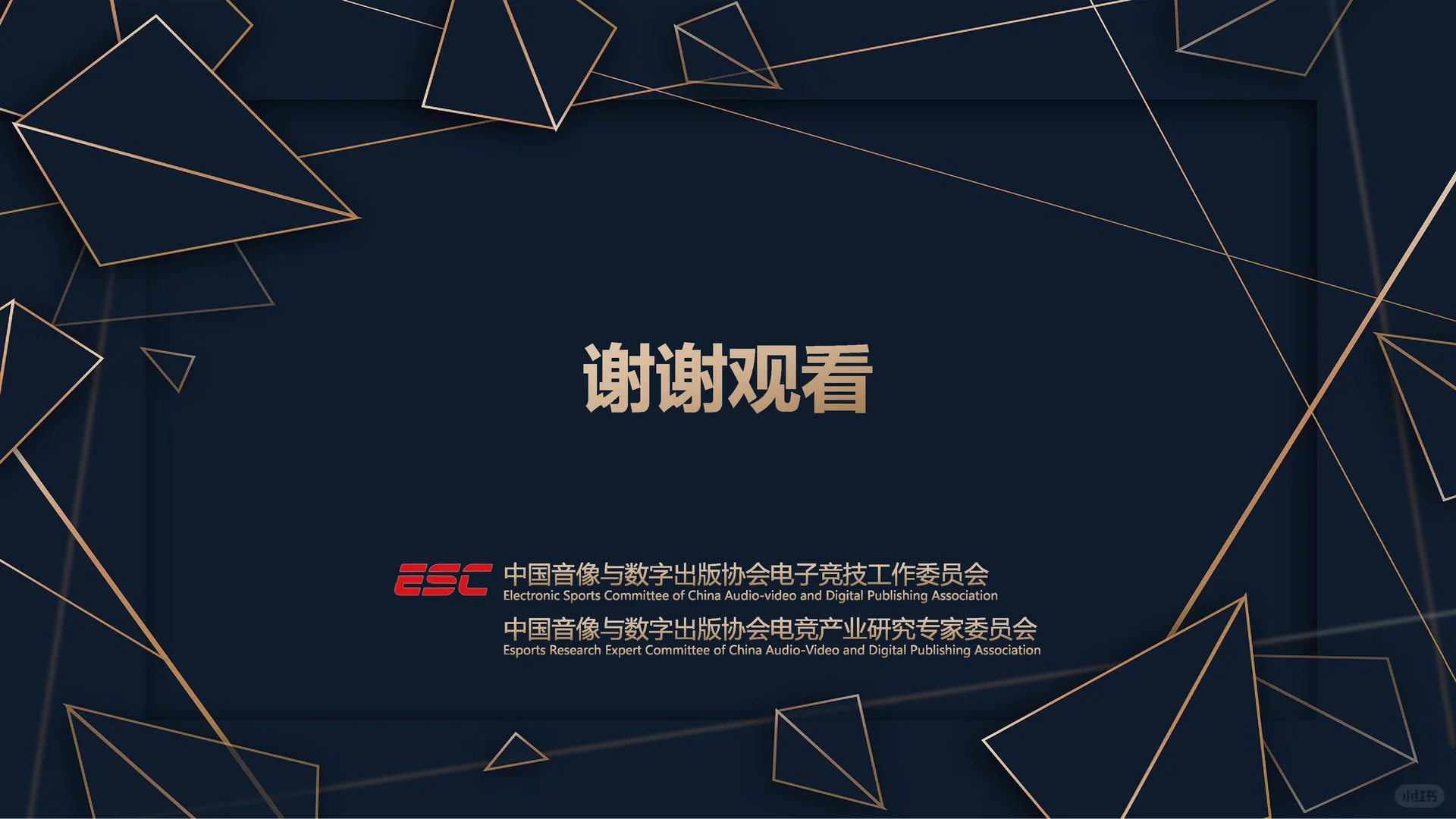 2025年中国电子竞技产业报告