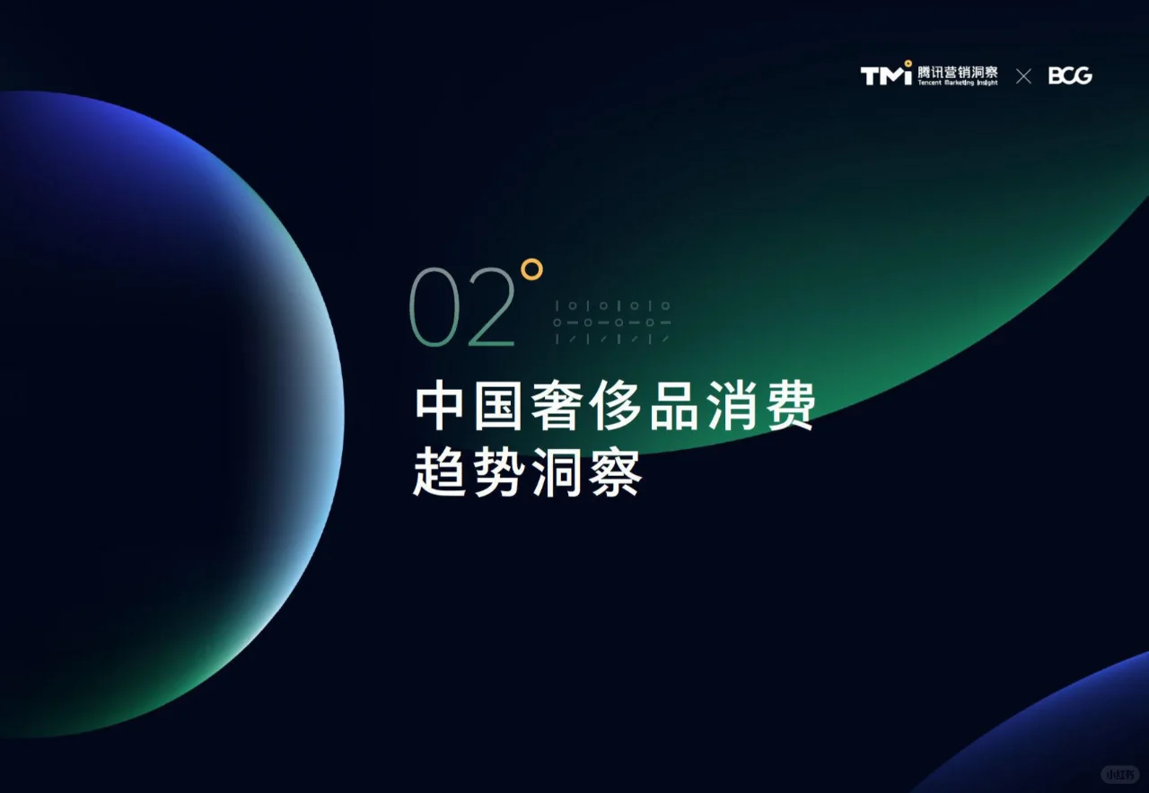 ? 2024年中国奢侈品市场洞察报告 ?