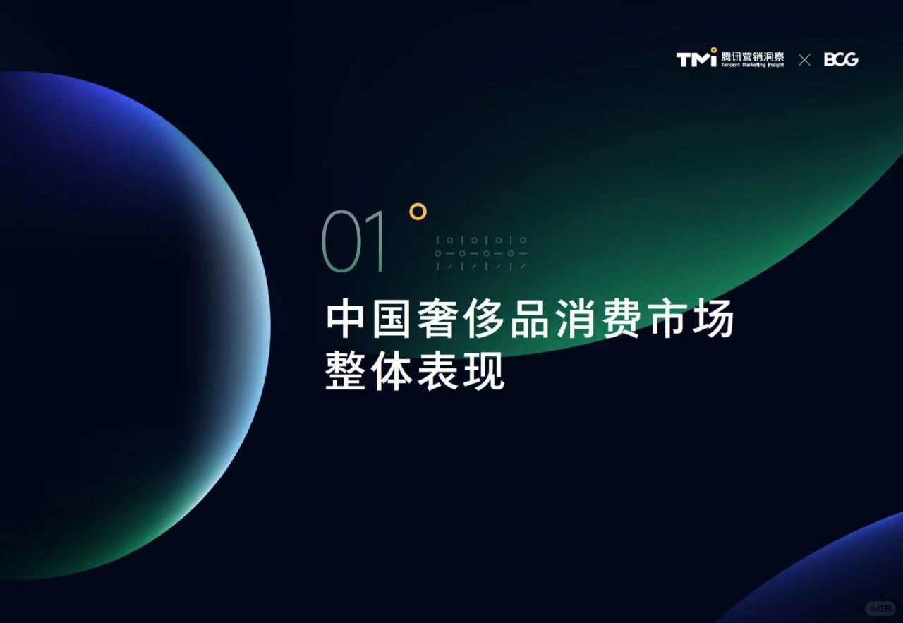 ? 2024年中国奢侈品市场洞察报告 ?