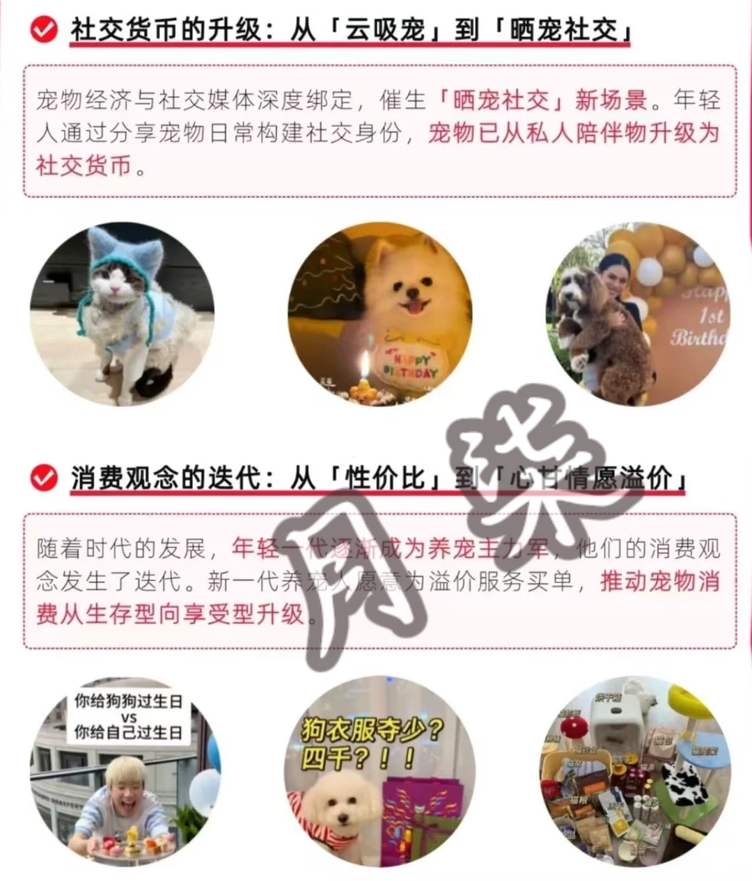宠物经济趋势