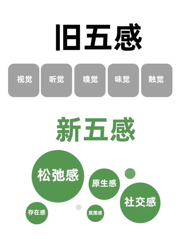新品牌五感