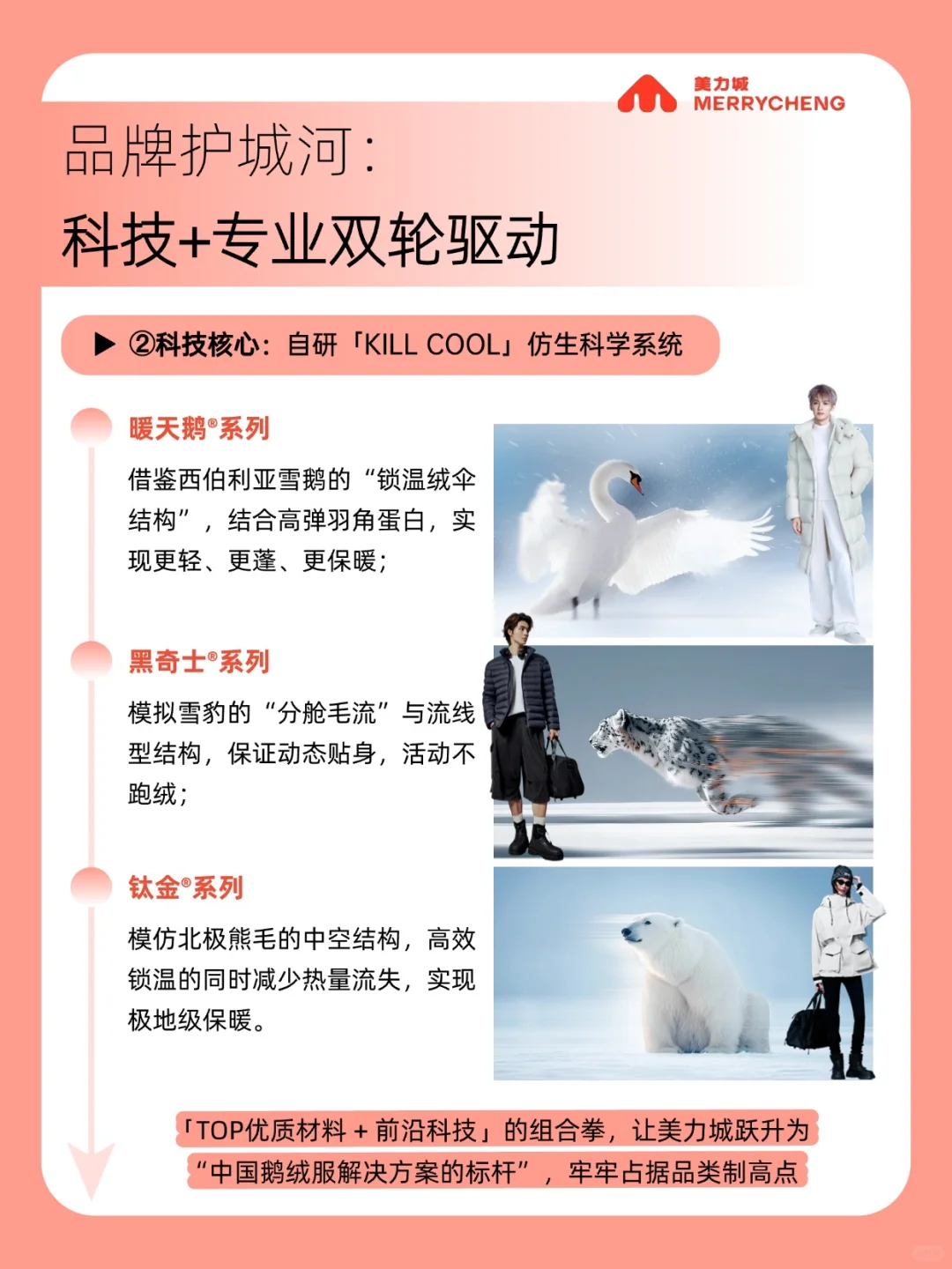 年销15亿,美力城为何能做到“行业TOP”?