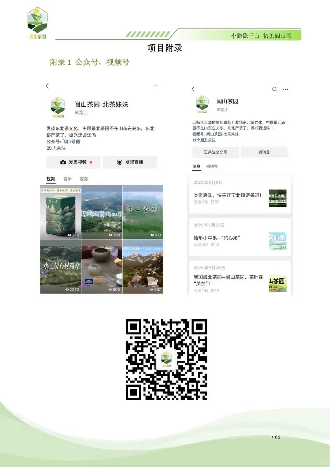 商挑品牌策划项目分享