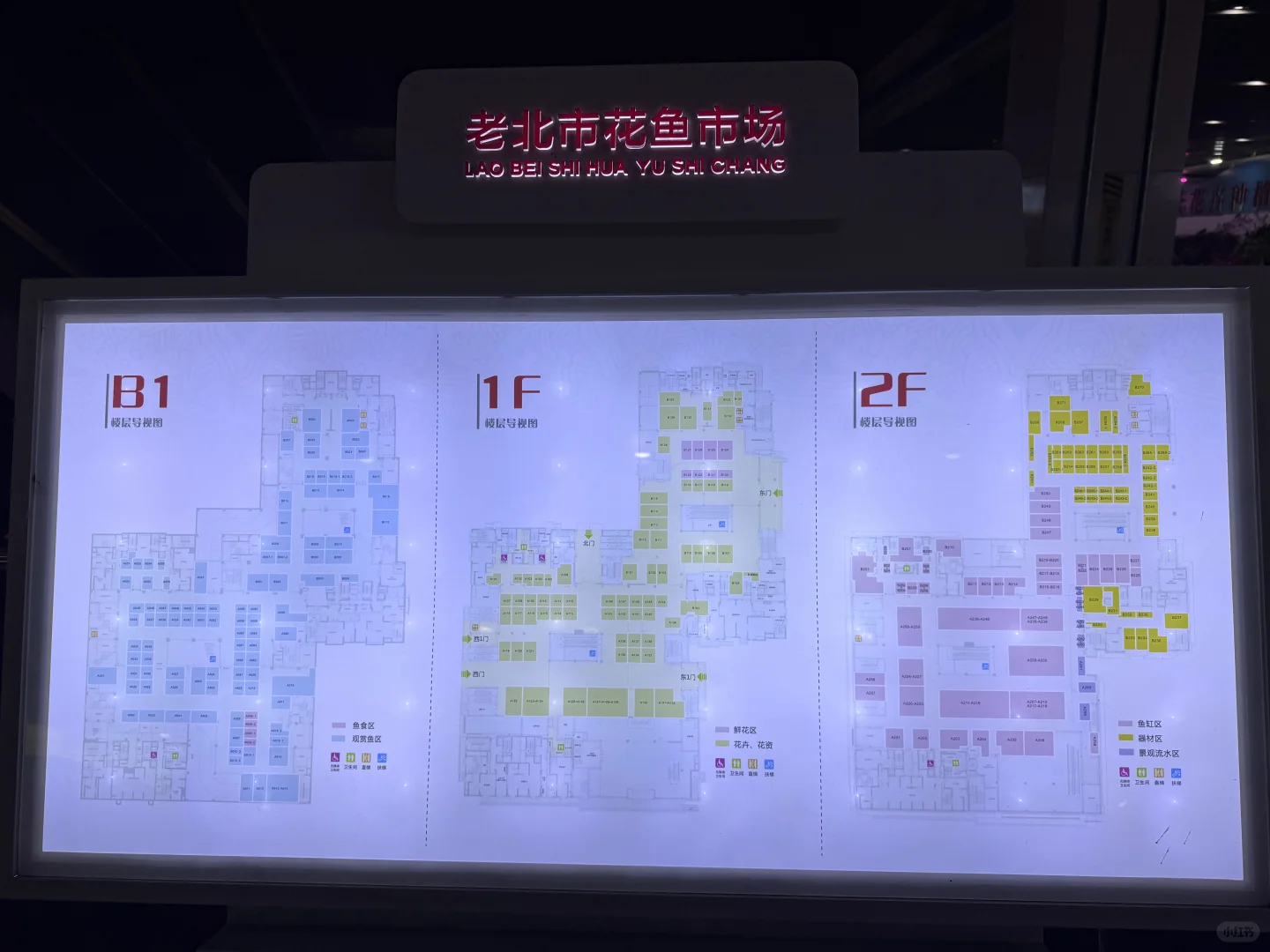 沈阳遛娃|堪比海洋馆的花鸟鱼市场