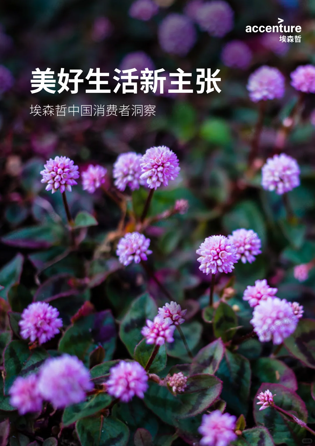 26年电商密码：埃哲森25年中国消费洞察（下）