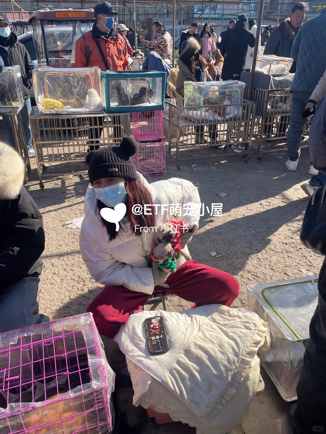 宁波猫狗市场、宠物天堂、逛逛逛!