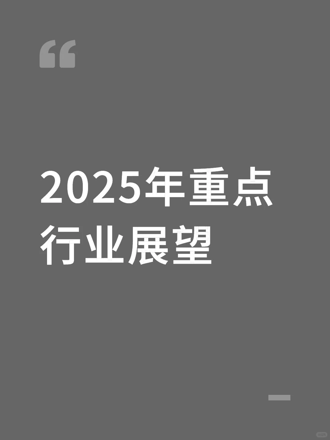 2025年重点行业展望