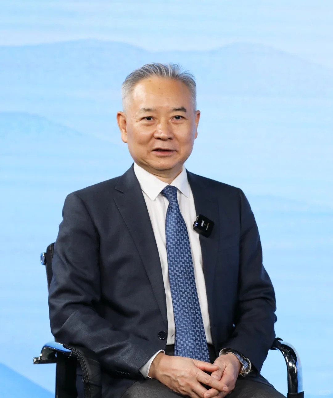 徐洪才中国国际经济交流中心副总经济师