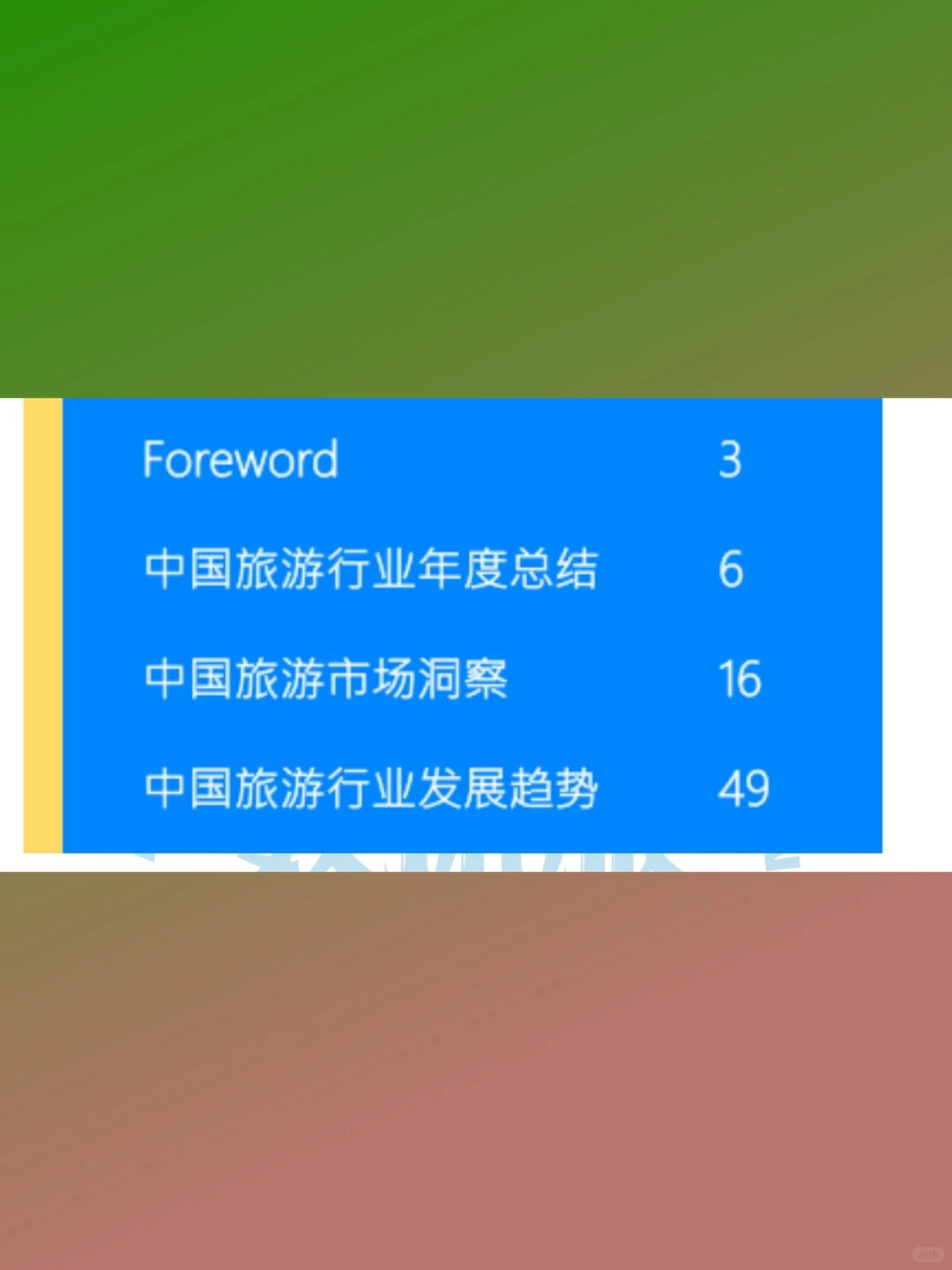 中国旅游行业年度报告2024秒发