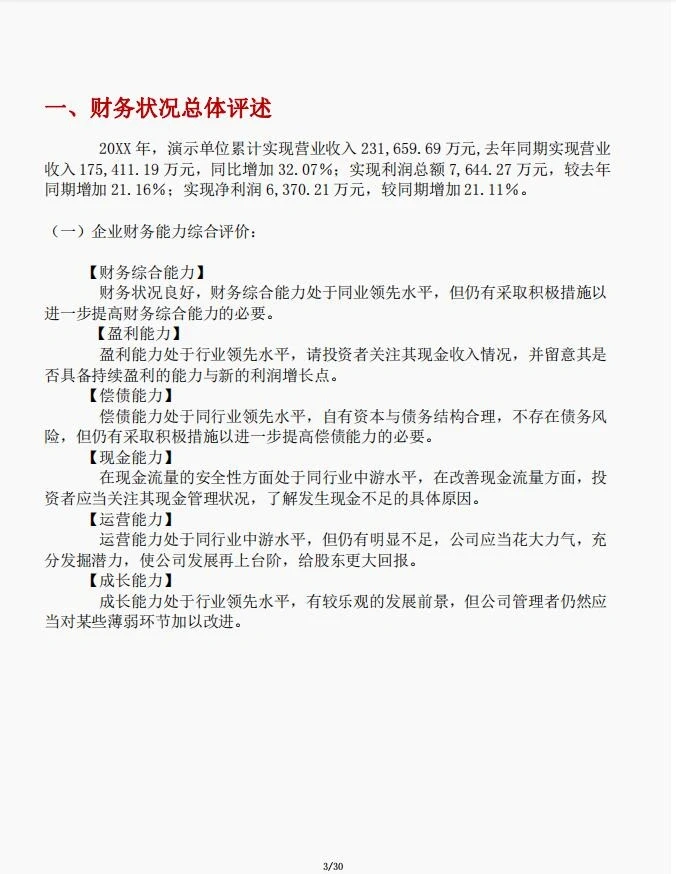 企业年度分析报告