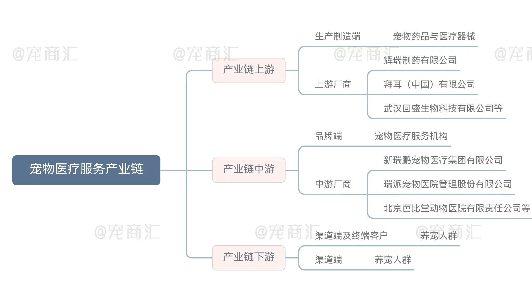 三分钟带你解读宠物医疗服务行业!