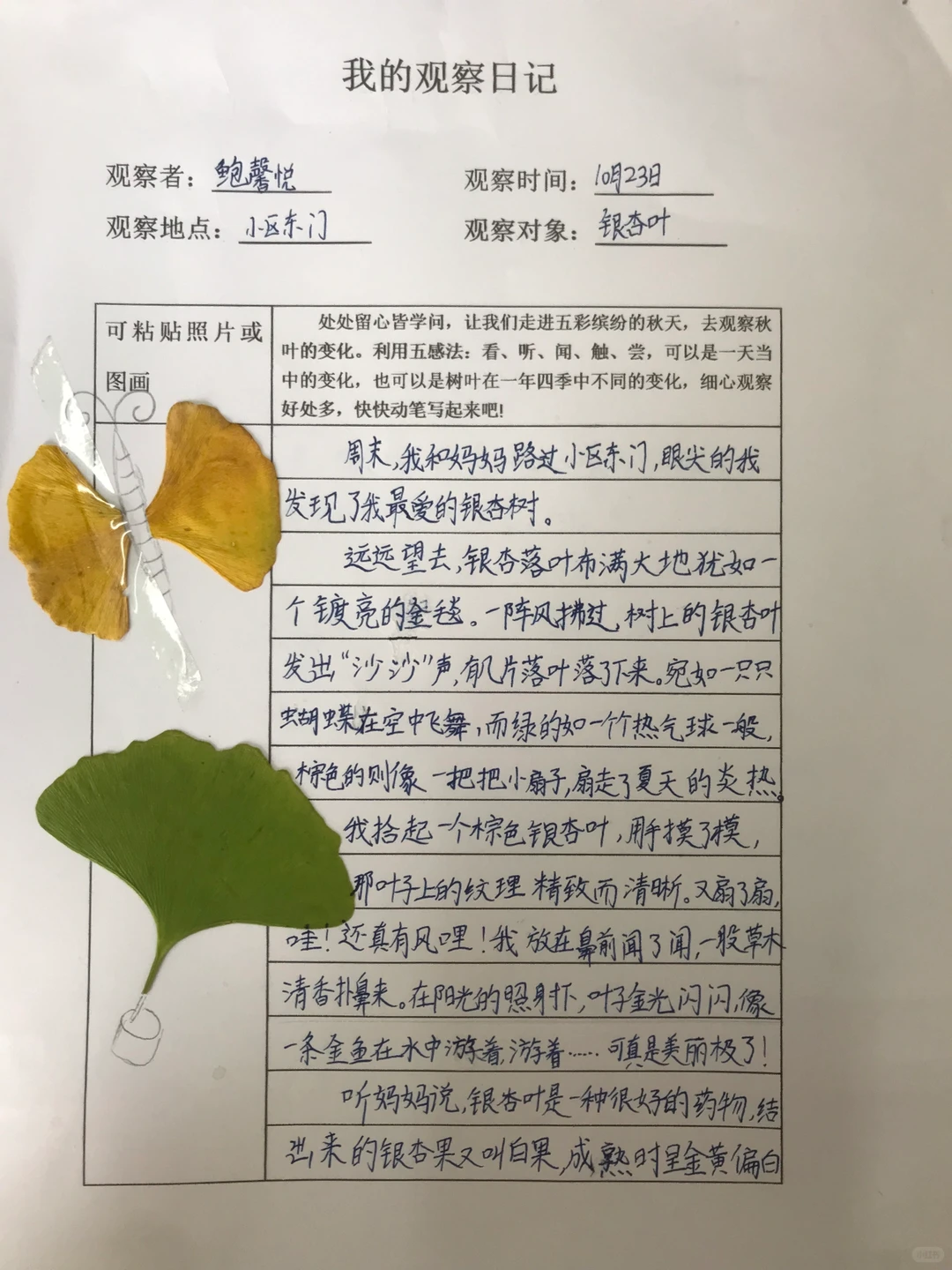 三上《观察记录表》