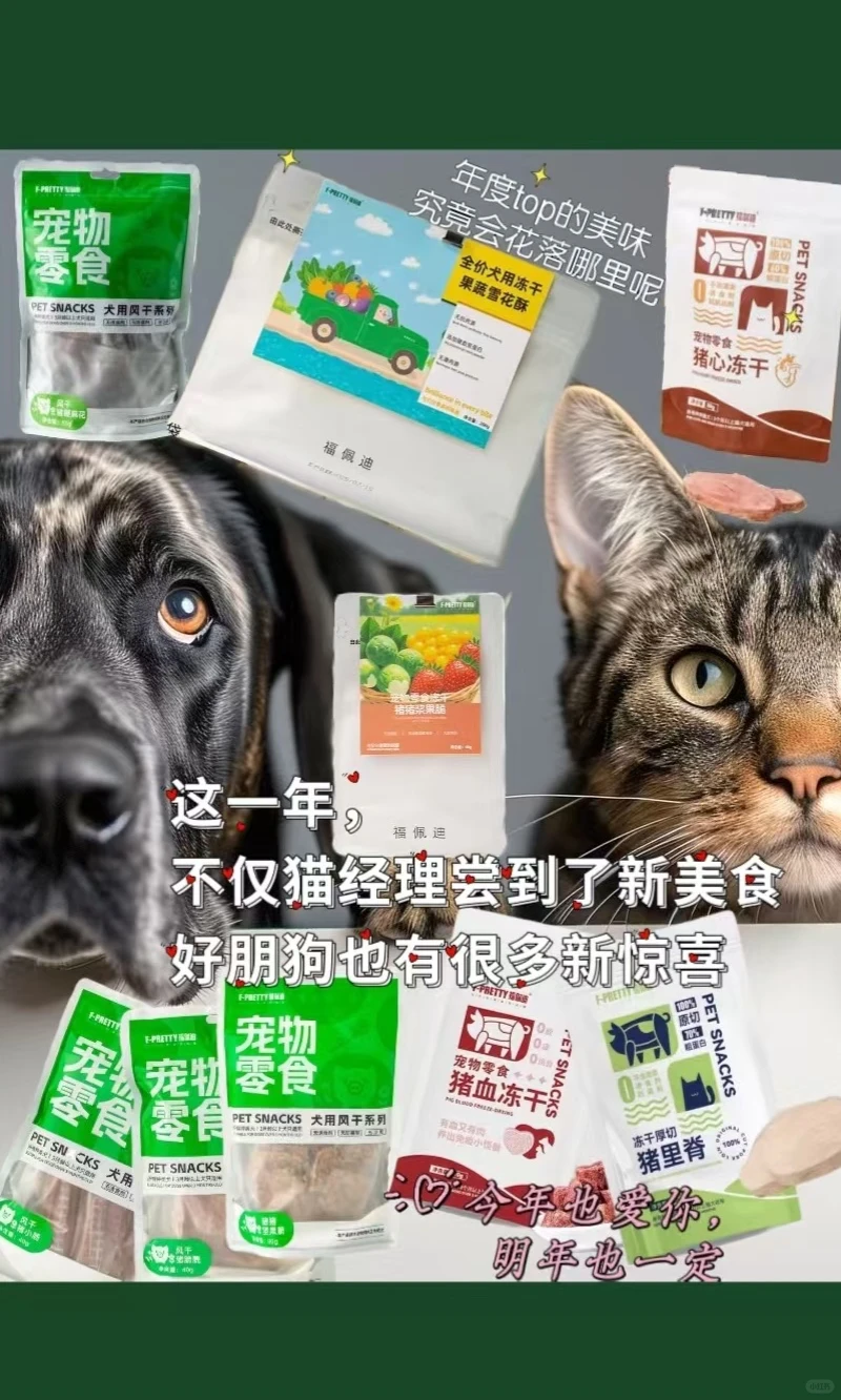 2025小结||福佩迪猫猫经理们的年度报告
