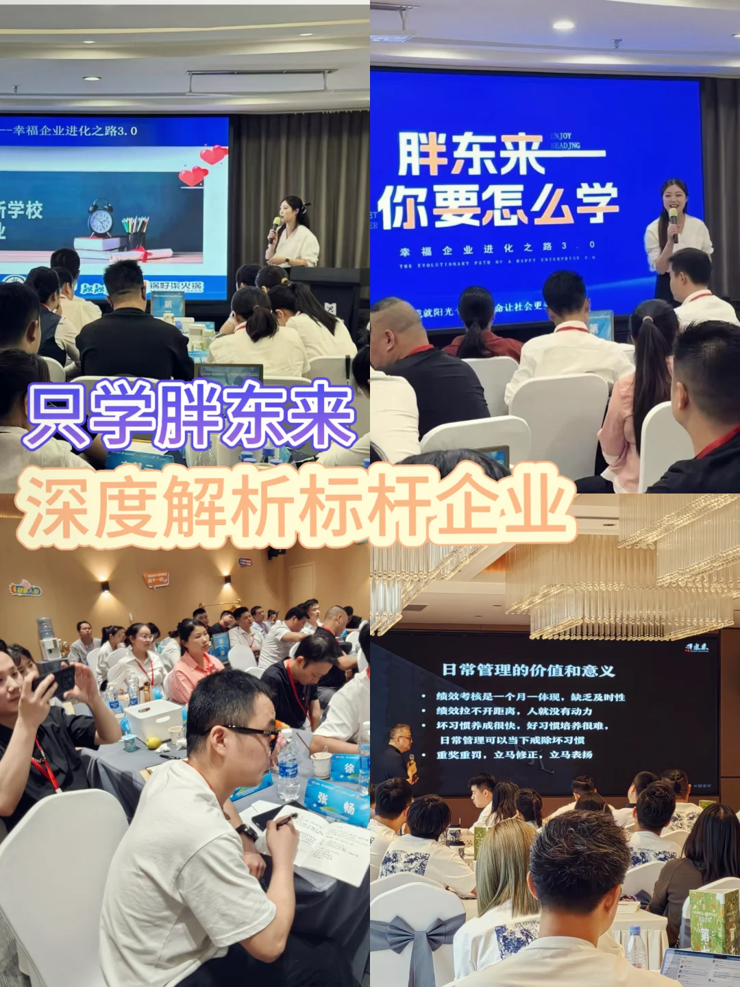 胖东来你要怎么学才能学会