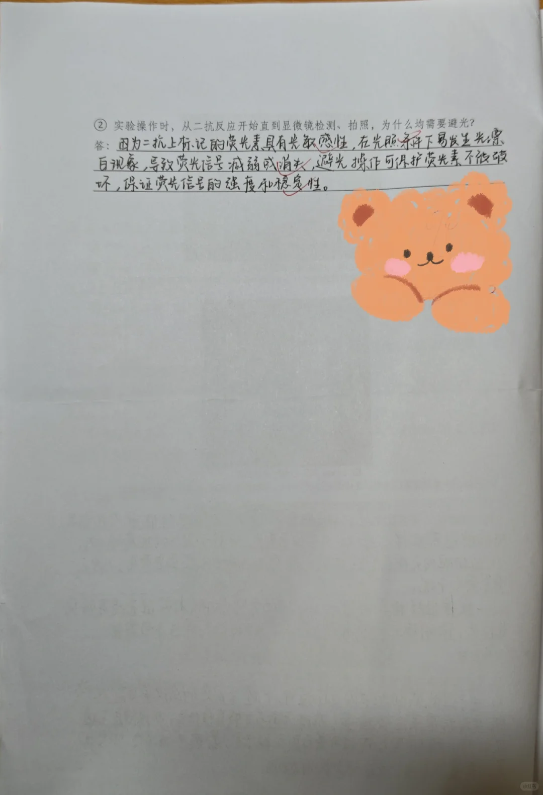 免疫荧光技术与HELA细胞骨架的染色与观察