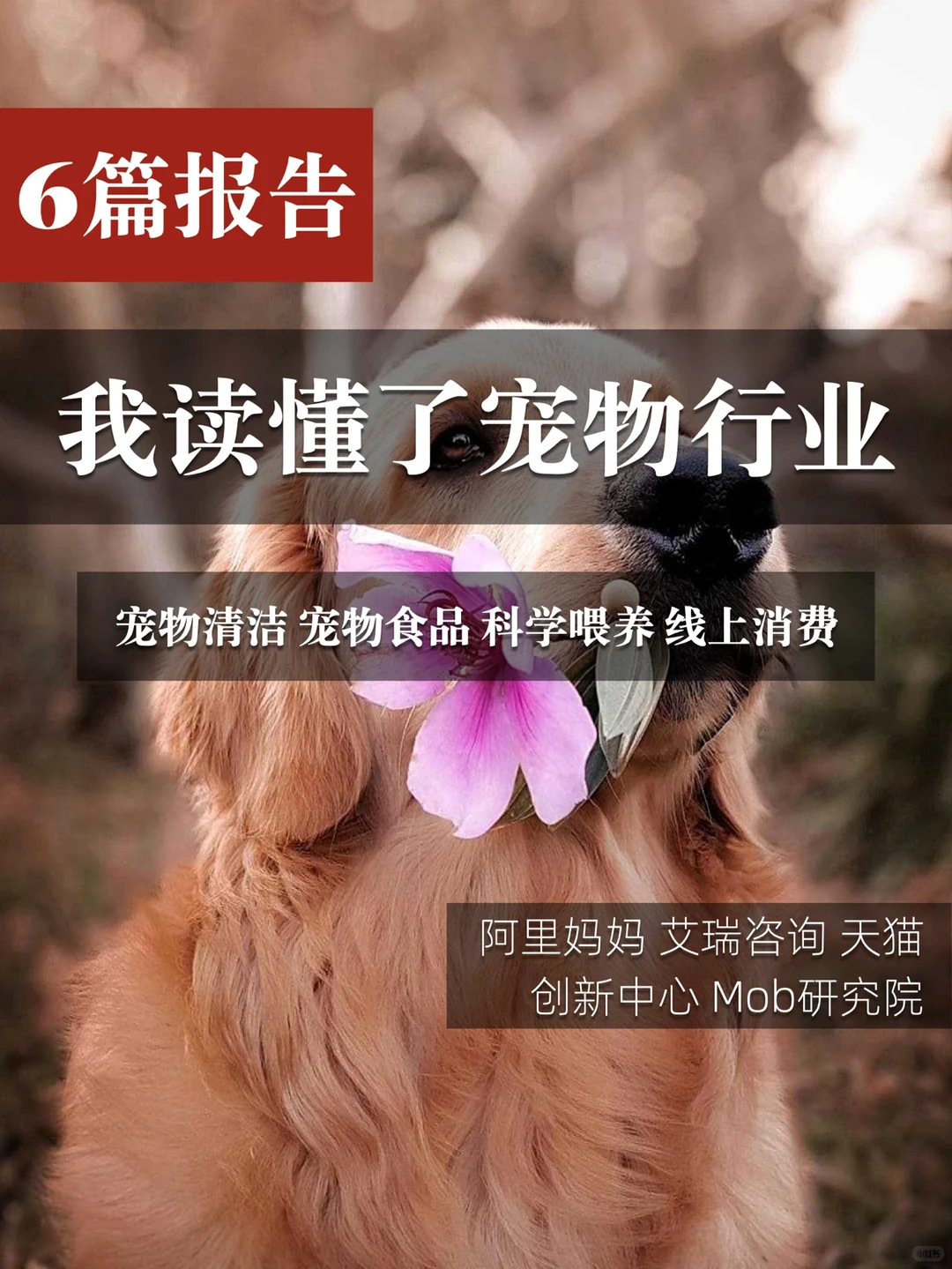 6篇报告|我读懂了宠物行业