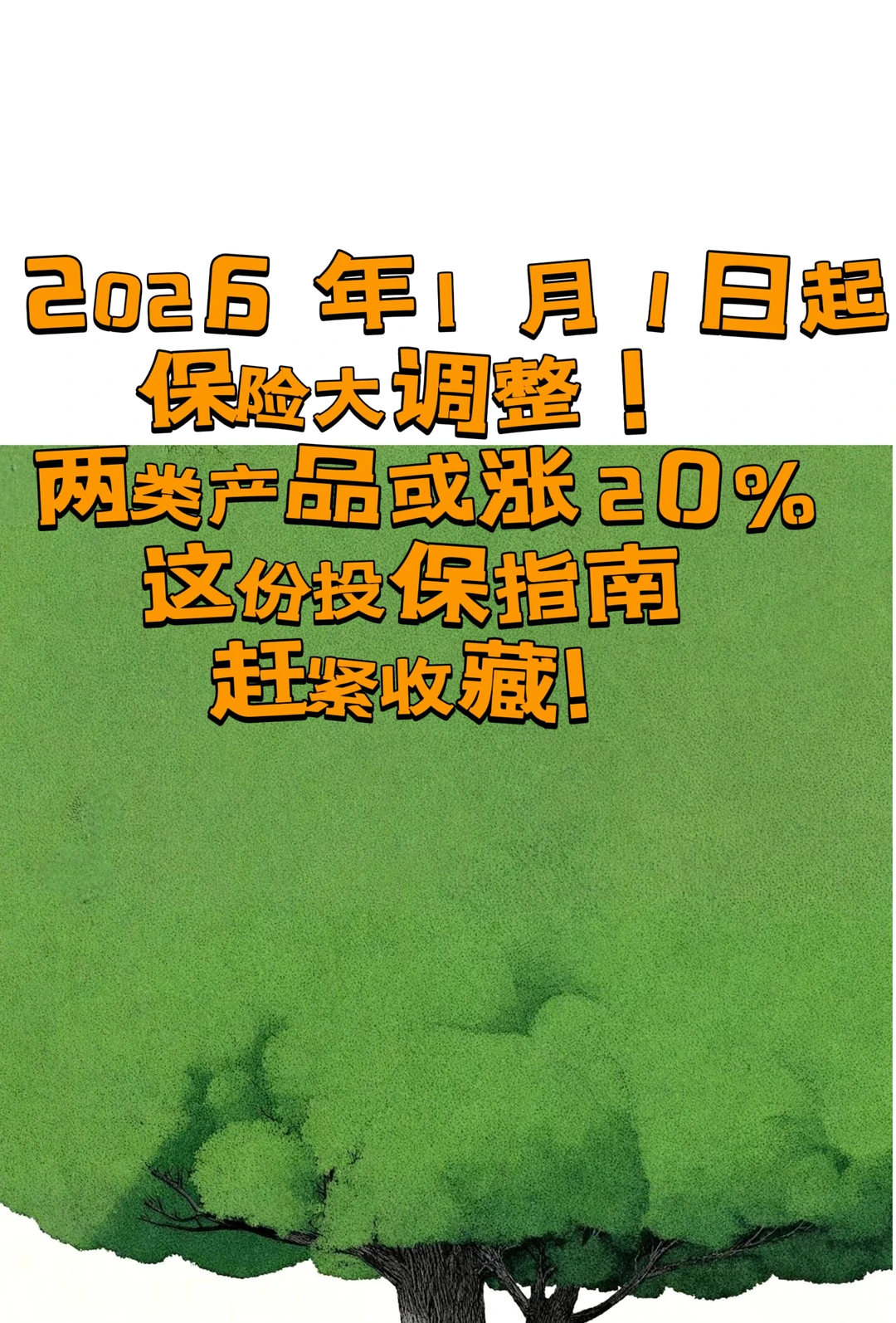 2026 年 1 月 1 日起保险大调整!两类产品