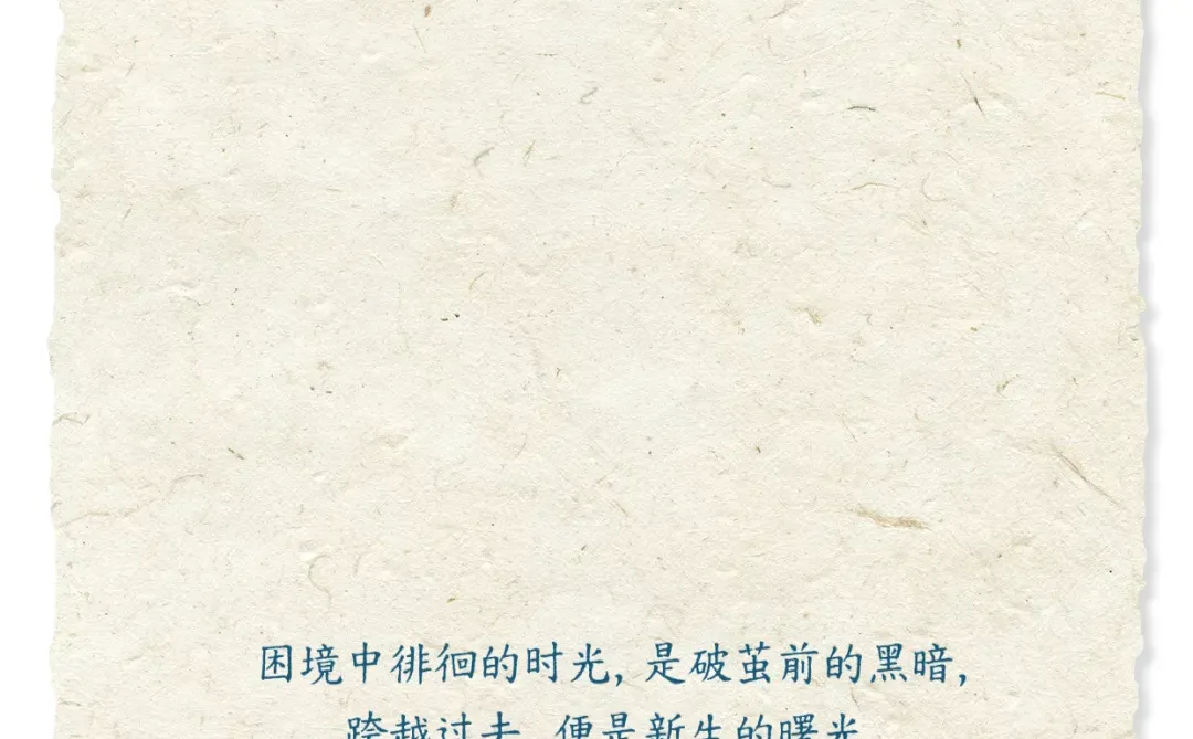 家具人,我们还有春天吧!