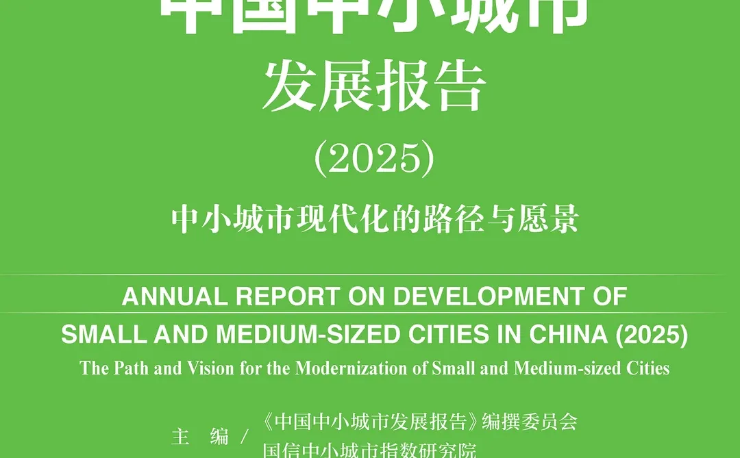 中国中小城市发展报告(2025)