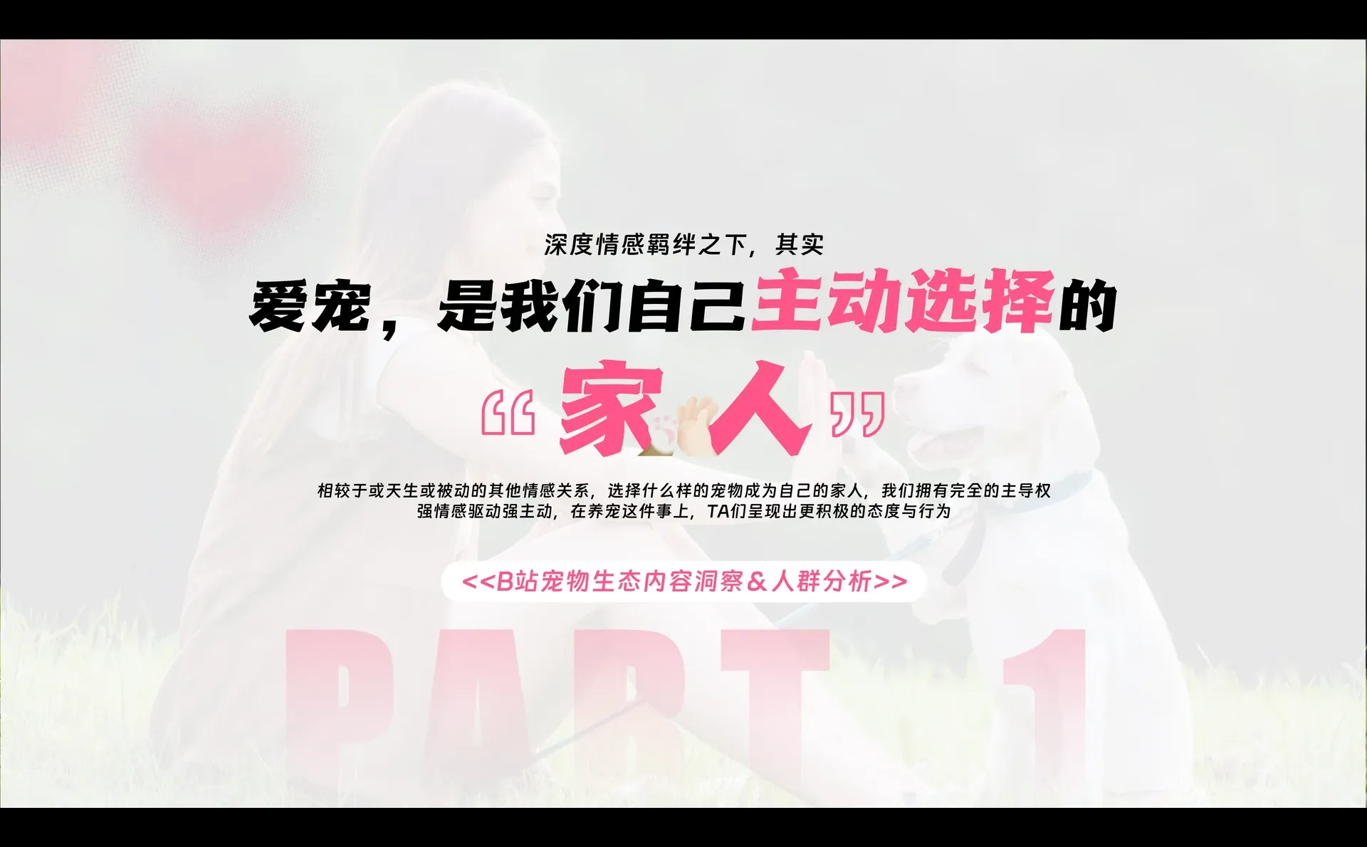 ?《bilibili2025宠物行业营销通案》?