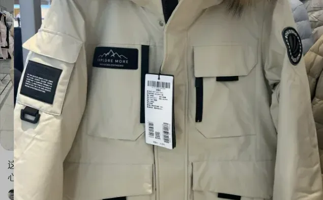 ❄️深度解析羽绒服市场:大盘趋势