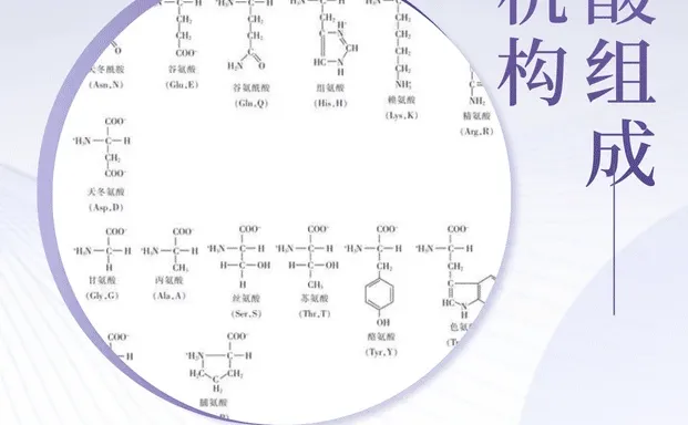 氨基酸组成检测报告，氨基酸组成检测机构