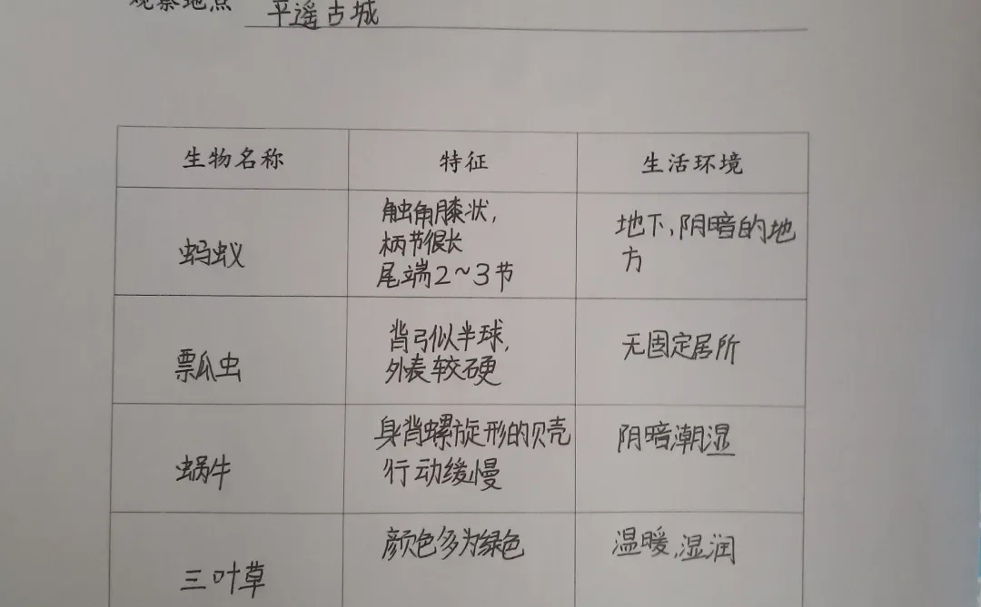 初一上册生物观察记录表