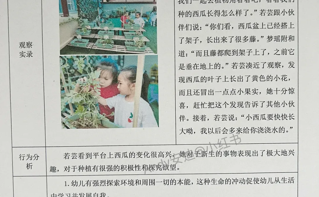 幼儿园肚子里没有墨水，看这3000篇观察记录